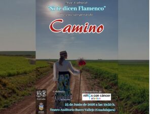Espectáculo flamenco solidario Camino en Teatro Buero Vallejo Guadalajara