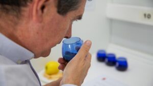 Participantes en concurso catadores aceite oliva Virgen Alcalá