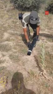Agentes Forestales rescatando culebra en Valdelaguna Madrid