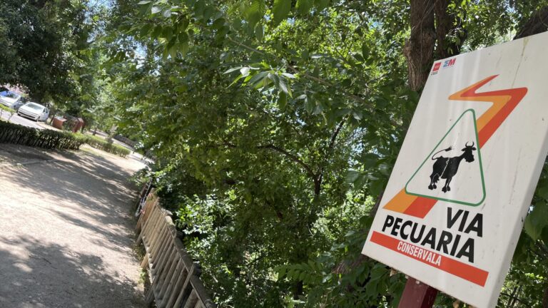 Zona del arroyo Camarmilla en Alcalá de Henares en rehabilitación