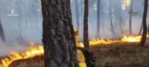 Incendio forestal activo en zona rural de La Mierla Guadalajara