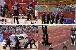 Policía Local de Torrejón en competición guías caninos nacional