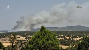 Zona afectada por incendio forestal en Selas Guadalajara
