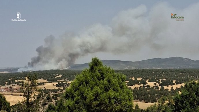 Zona afectada por incendio forestal en Selas Guadalajara