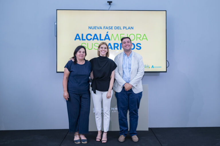 Vista general de obras y renovaciones en barrios de Alcalá de Henares
