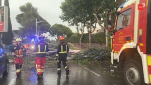Bomberos Madrid trabajando en retirada de arboles tras tormenta