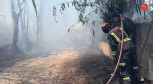 Incendio en zona de pasto en Camino de la Zarzuela, Villaviciosa