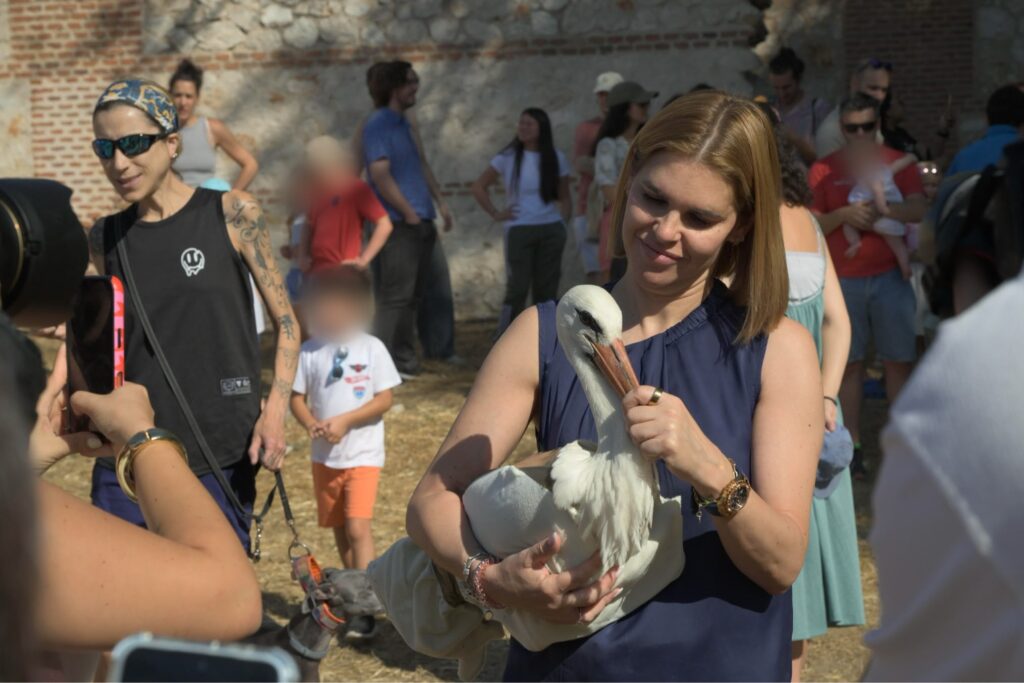 Liberación de cigoñinos en Huerta del Obispo Alcalá de Henares