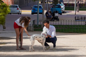 Una mujer agachada acaricia a un perro dálmata mientras un hombre sonríe y se aproxima al animal en un parque de Torrejón de