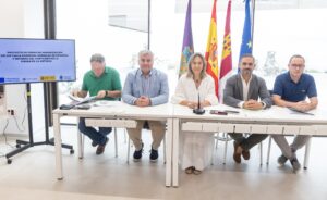 Presentación del proyecto de reforma de Cardenal González de Mendoza en el Ayuntamiento de Guadalajara